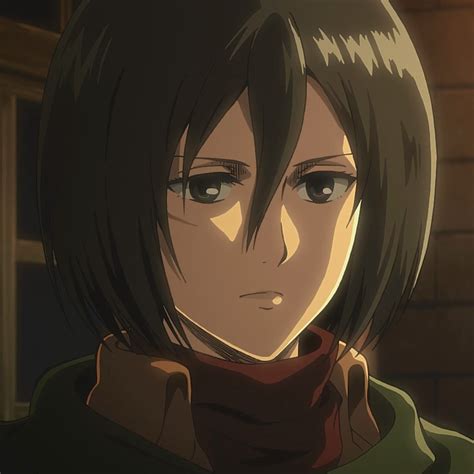 Mikasa Ackerman debujo